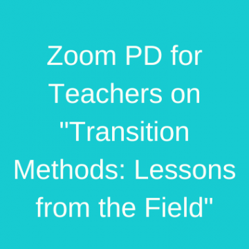 Transition Methods: Lessons from the Field
