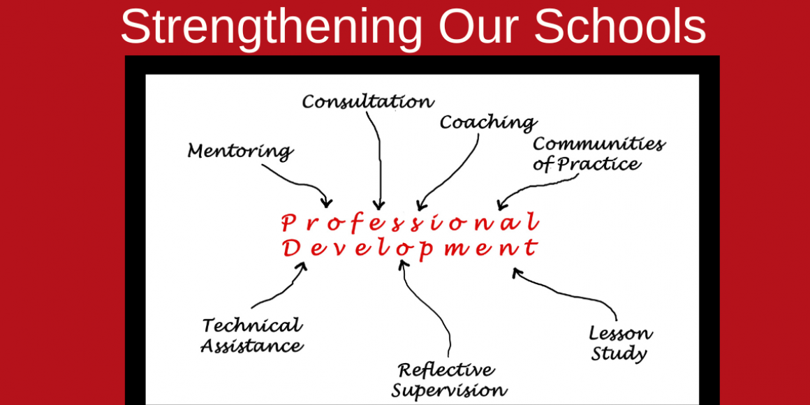 Chart showing Professional Development Goals